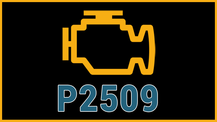 P2509 code